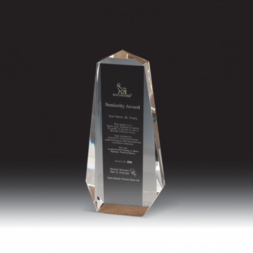 크리스탈상패2645G