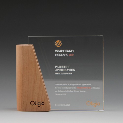 크리스탈상패1306